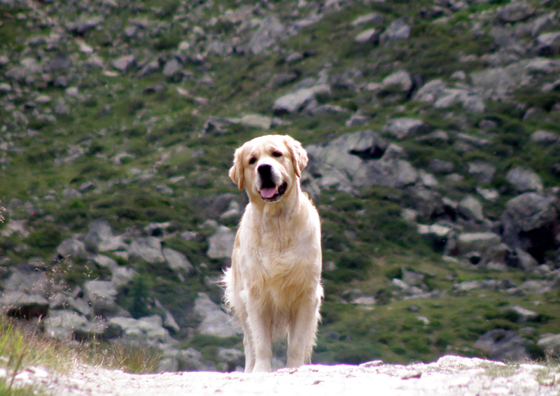 Anouk auf "Wanderschaft"